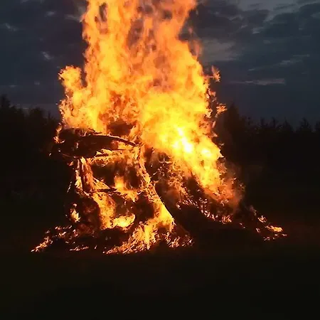 Tammekannu Holiday House