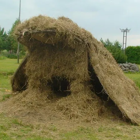Tammekaennu House Mammaste